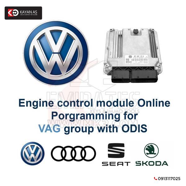 وحدة التحكم في المحرك برمجة عبر الإنترنت لمجموعة VAG مع ODIS