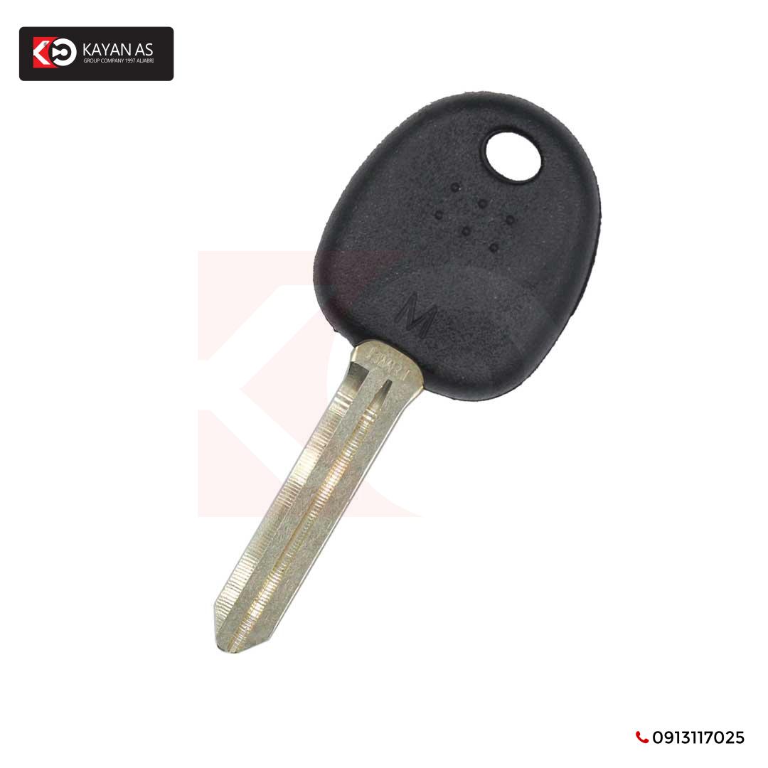 هيونداي - مفتاح مستجيب أصلي 8A HYN14R